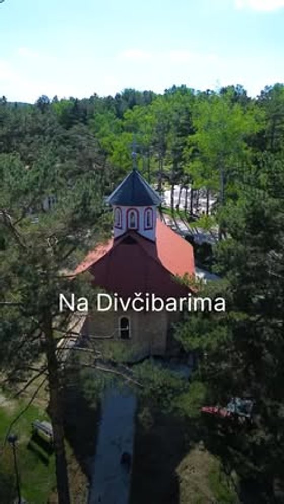 Predeo na Divčibarama, borova šuma i planinski vidik
